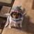 Jerry Hoskins's profile image