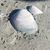 Monica Sparks Cromer's profile image