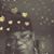 Tracy Smith's profile image