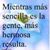 Viviana Garcia's profile image