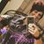 Amy Head-Jarosik's profile image