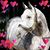 Kathy Elam's profile image
