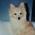 Shannan Lee's profile image