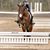 Dawn Blais's profile image