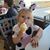 Callie Lundrigan's profile image