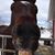 Rachel Wicksall's profile image