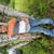 Jeff Beier's profile image