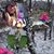 Amanda Dougherty's profile image