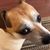 Becki Acison's profile image