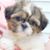 Marinella Defrancisci's profile image