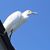 Sharon Tolley's profile image