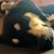 Matt Maier's profile image