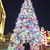 Melissa D. Arias's profile image