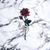 Joselin Munoz's profile image