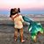 Dana Giambrone Rosencrance's profile image