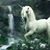 Judy Berryhill's profile image