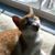Tracy Kenning's profile image
