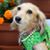 Jerry Bowen's profile image