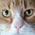 Ellie Doppenberg's profile image
