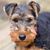Janice Gravette's profile image