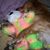 Jo Hall's profile image
