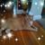Susan Kunkler's profile image