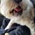 Genesis Fabiana Skellenger's profile image