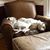 Donna Wise Hiteshew's profile image