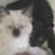 Cissy Hurd's profile image