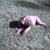 Tina Seward's profile image