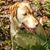 Bert Winkler's profile image