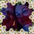 Raymond P. Martin's profile image