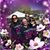 Iris Garcia's profile image