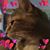 Brenda Hunt's profile image