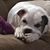 Debra Runde's profile image