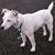 Armando Garcia Correa's profile image