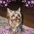 Egea Kail's profile image