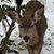 Enid Moss Richey's profile image