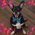 Judy Staggs's profile image