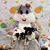 Becky Gillmore's profile image