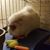 Kathy Miller-Williams's profile image