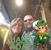 Lisa Dilley's profile image
