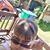 Lynn VanHagen's profile image