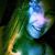 Stacy Lynn Pregent's profile image