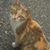 Yasukuni Gotou's profile image