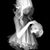 Donna Martin's profile image