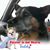 Lisa Hopcroft's profile image