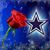 Teresa Johnson's profile image