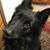Diane Horvath's profile image