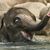 Denise Ritts's profile image